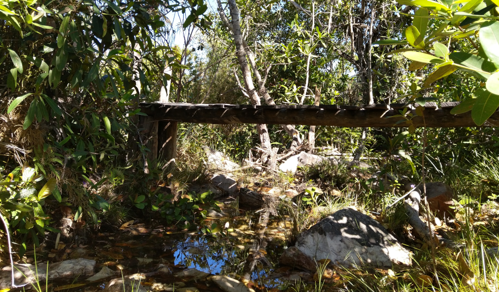 Photo of bridge over small river